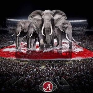 Meet your Posher, Christa